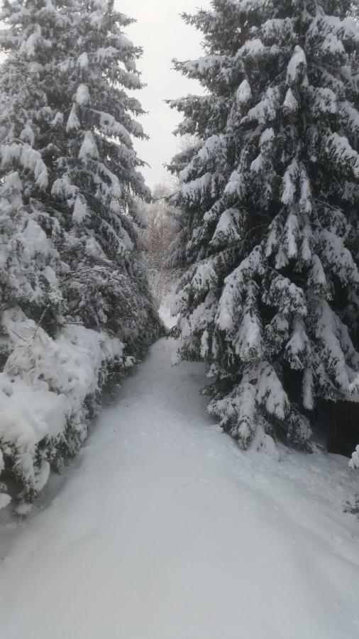 Chata Linia Kokava nad Rimavicou Exterior foto